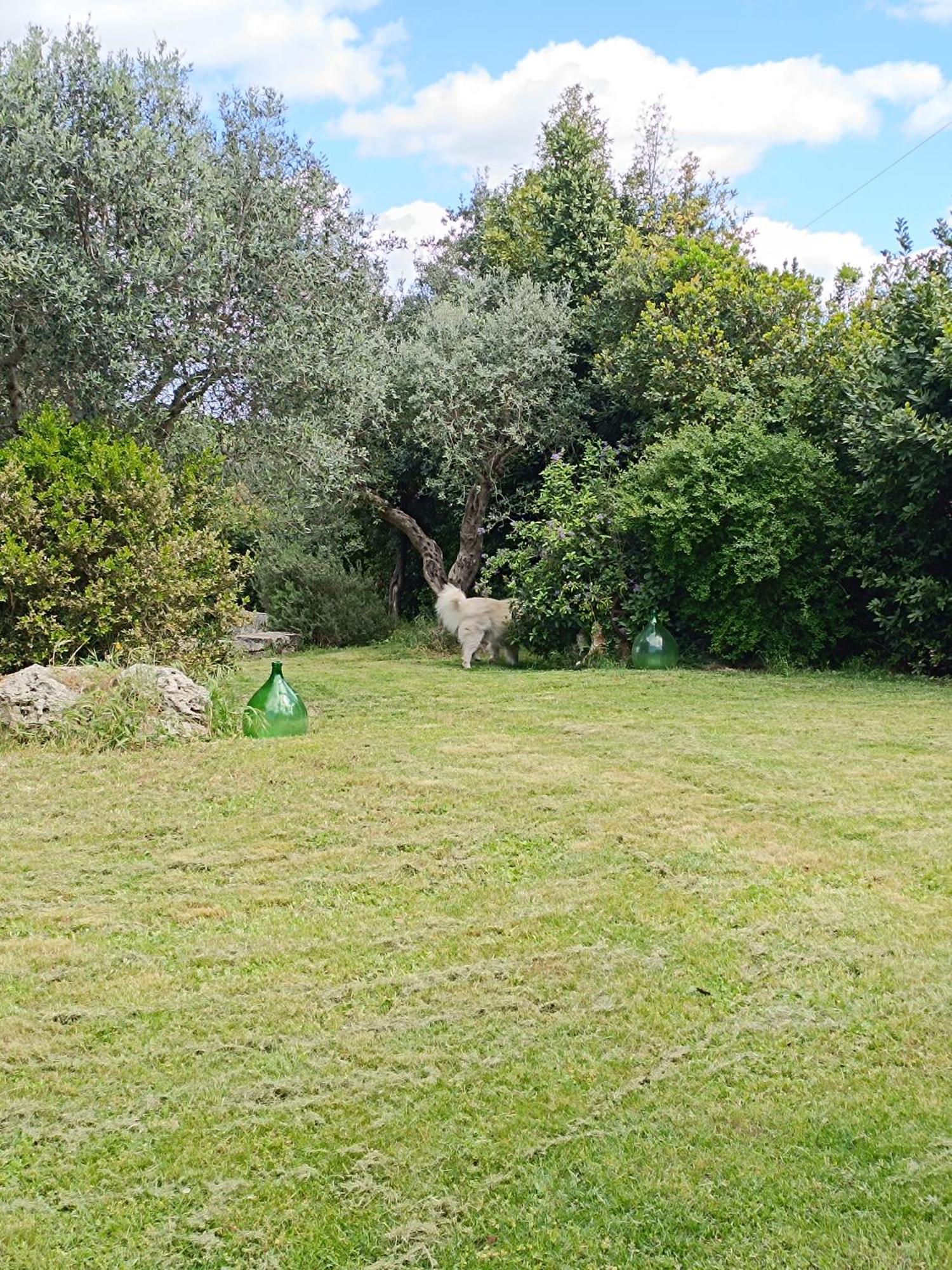 Trullo Galeotto Villa Martina Franca Luaran gambar